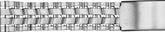 ALPINE Buckle Band 20mm Straight Ends 523